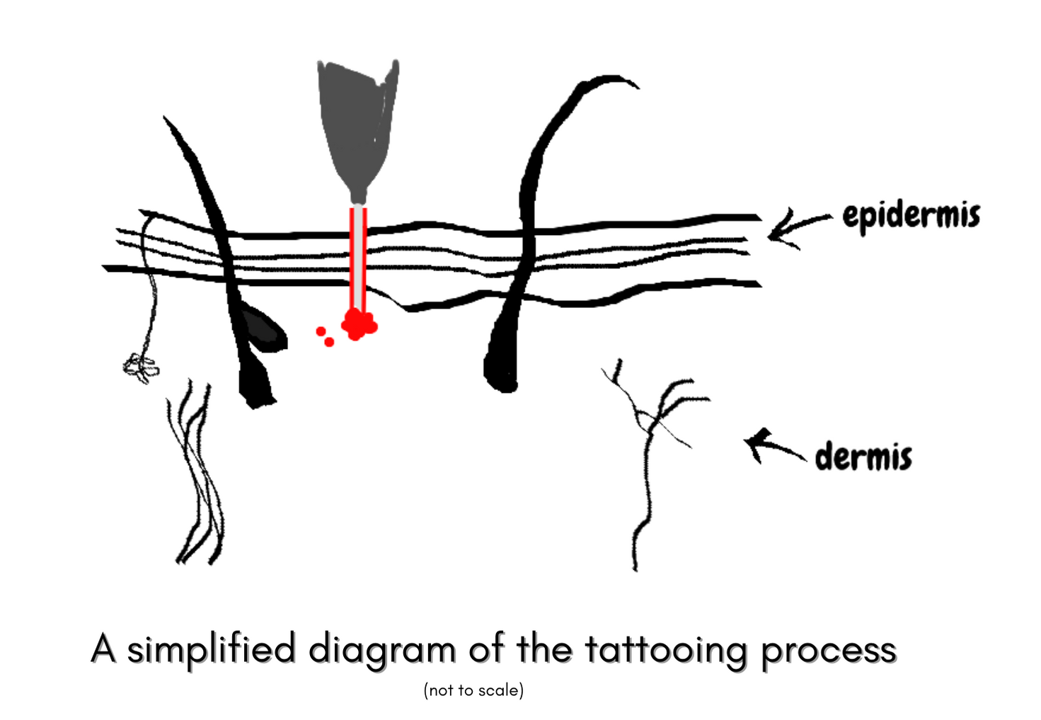 Tattooing process diagram
