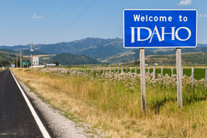 Read more about the article Idaho Tattoo Removal Laws – A Business Guide